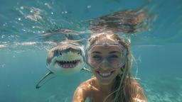 Influencer and Great White Selfie [3840x2160]